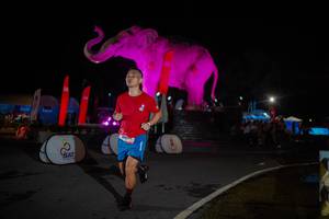 BIB: 
                            <button type="button" onclick="openModal(26551959)" class="btn btn-primary btn-sm float-right btn-popup" data-toggle="modal" data-target=".modal-high-quality">
                        <i class="fas fa-shopping-cart"></i> Add to Cart
                    </button>
                                            <button type="button" onclick="isThisMe(26551959, true)" class="btn btn-success btn-sm float-right btn-popup btn-isme hidden" data-toggle="tooltip" data-placement="bottom" title="นี่คือรูปของคุณใช่ไหม คลิกที่นี่เพื่อเอาเข้าอัลบั้ม">
                        <i class="fas fa-plus"></i> Add to album
                    </button>
                    <button type="button" onclick="isThisMe(26551959, false)" class="btn btn-warning btn-sm float-right btn-popup btn-isnotme hidden">
                        <i class="fas fa-ban"></i> Remove from album
                    </button>